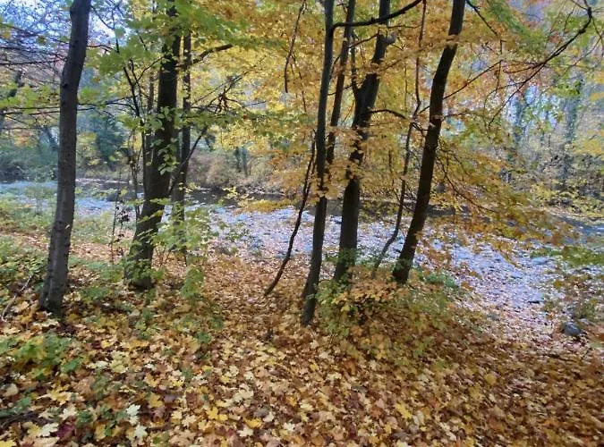 Wienerwald Apartment Baden